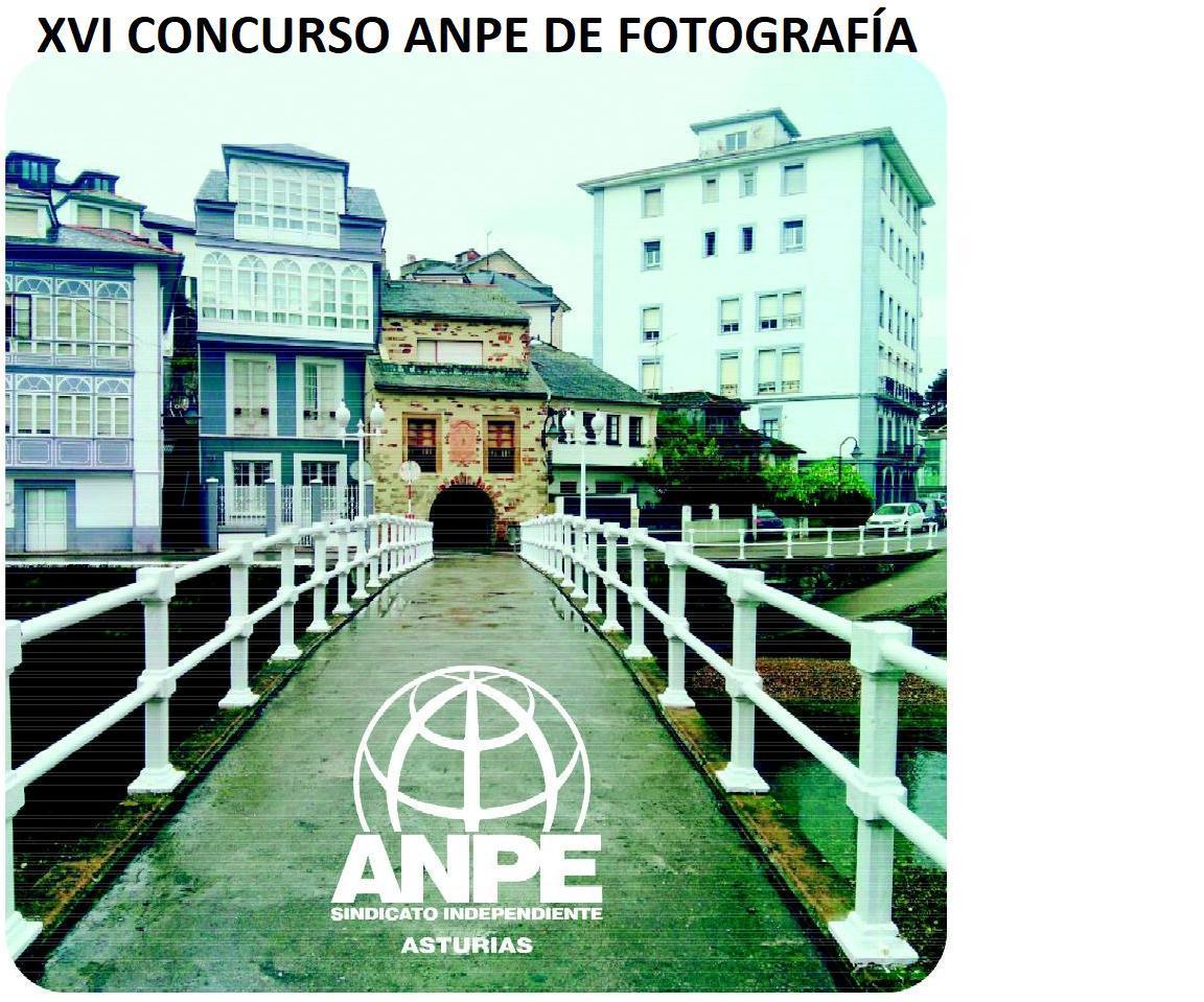 concurso-fotografÍa