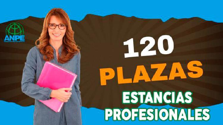 estancias_profesionales