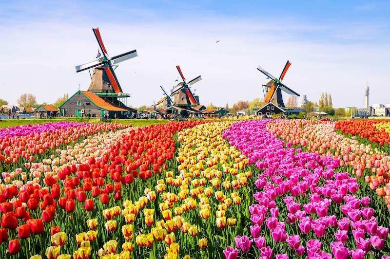 tour-edam-volendam-zaanse-schans-marken