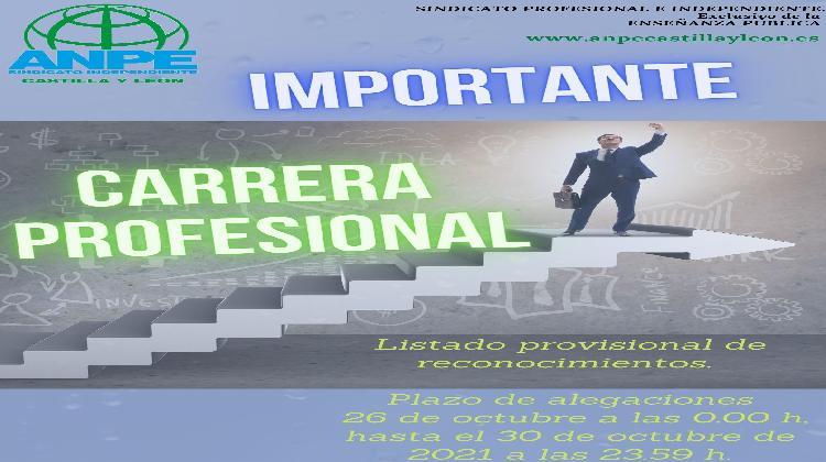 carrera-profesional