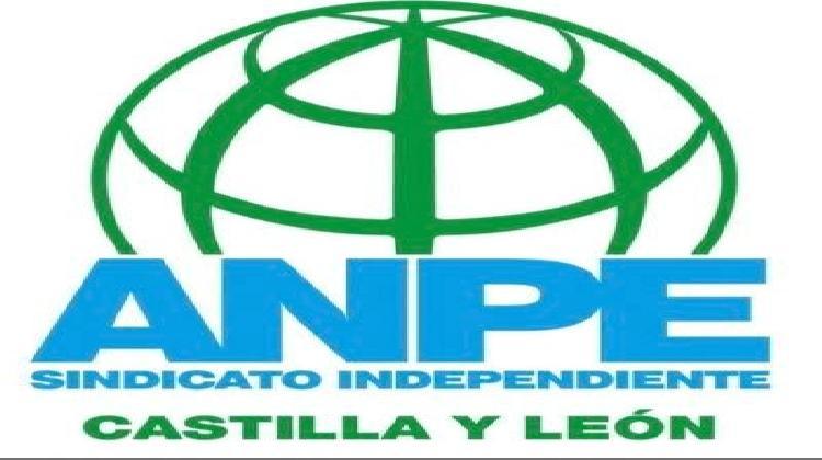 logo-anpe